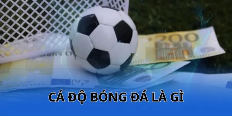 Tìm hiểu về trò chơi cá độ bóng đá online